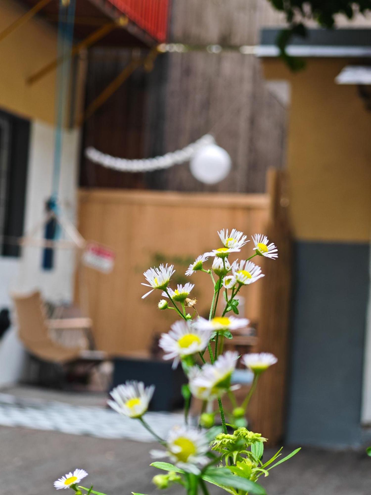 Vintage Room With Garden View Pressburg Exterior foto
