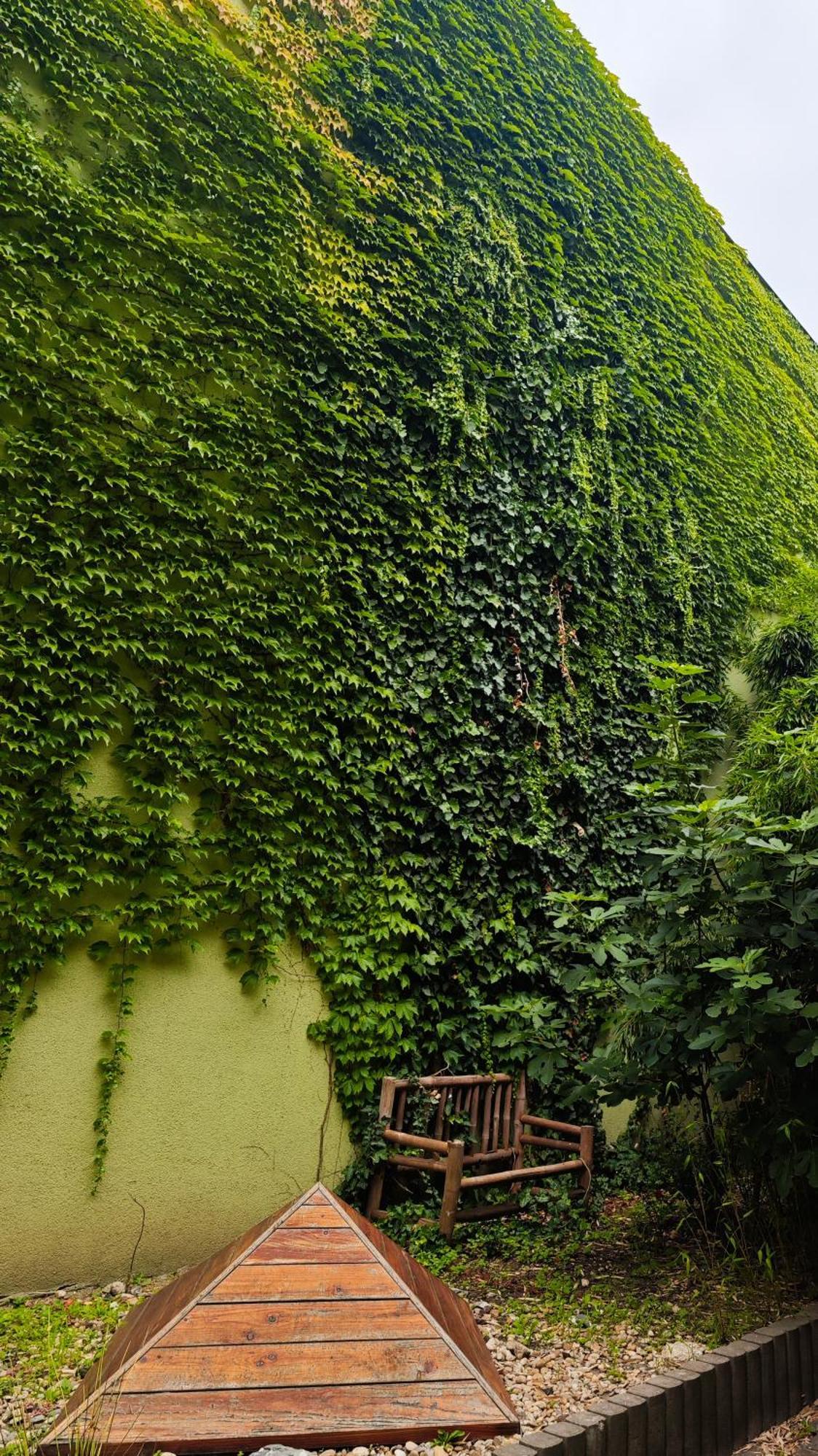 Vintage Room With Garden View Pressburg Exterior foto